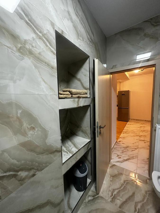 Emanuela Apartments Pecica 外观 照片