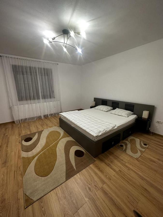 Emanuela Apartments Pecica 外观 照片
