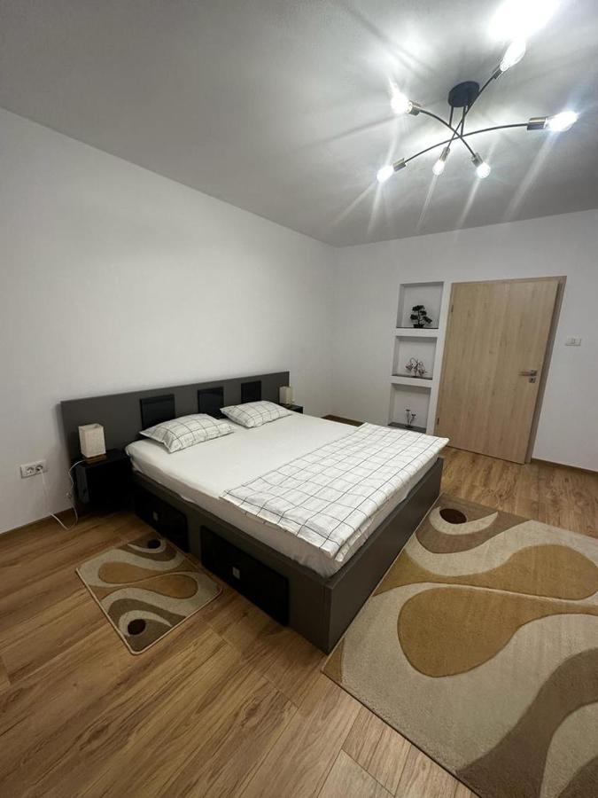 Emanuela Apartments Pecica 外观 照片