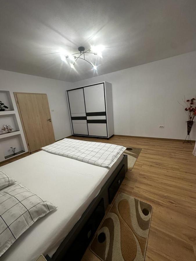 Emanuela Apartments Pecica 外观 照片