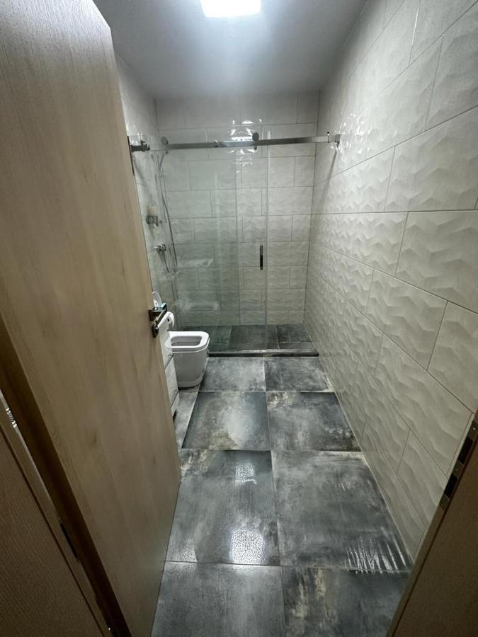 Emanuela Apartments Pecica 外观 照片