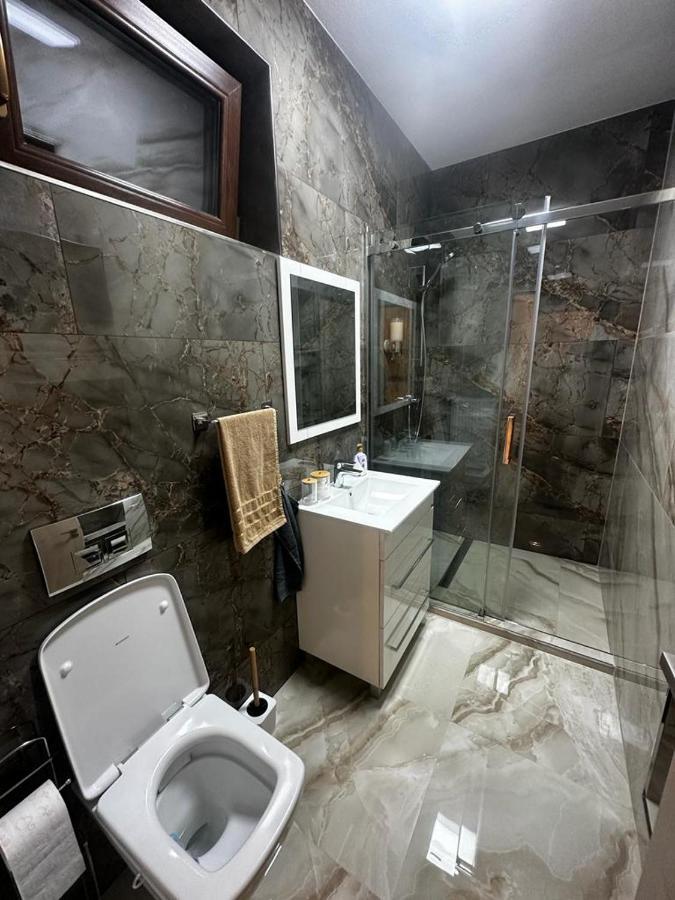 Emanuela Apartments Pecica 外观 照片