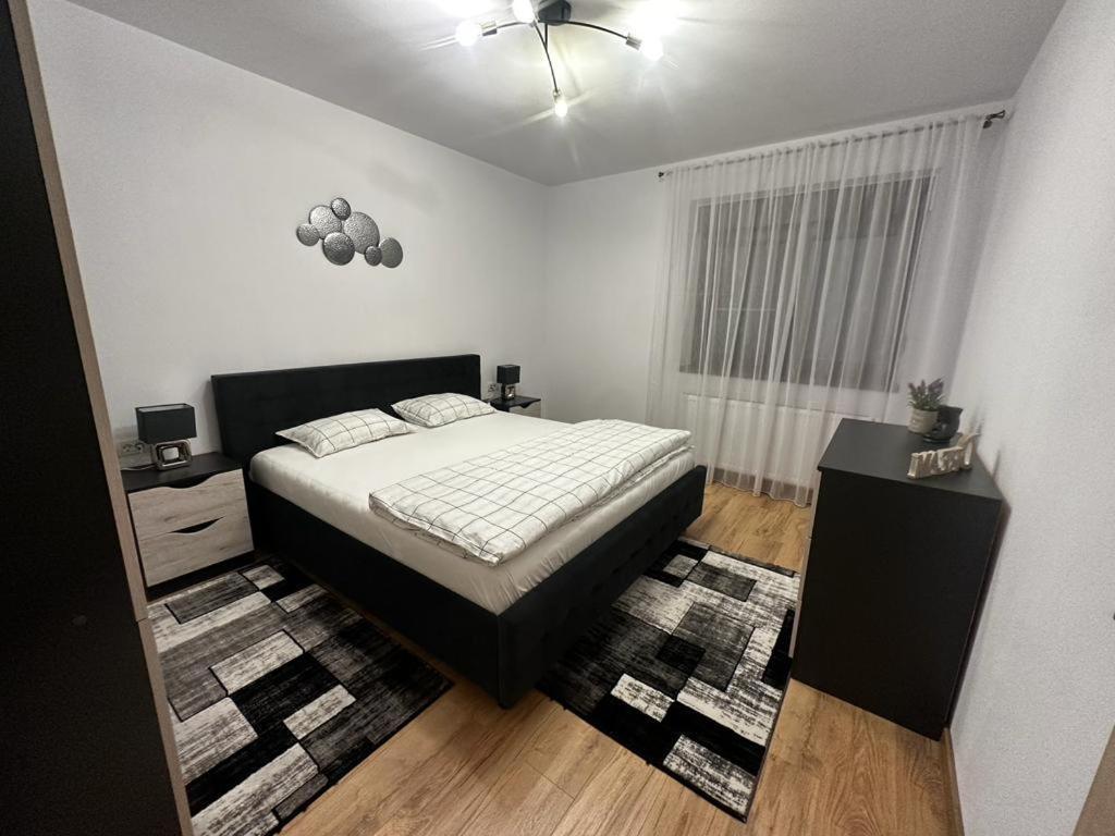 Emanuela Apartments Pecica 外观 照片