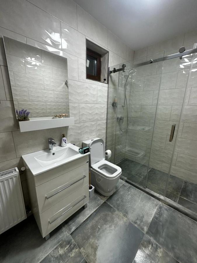 Emanuela Apartments Pecica 外观 照片